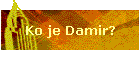 Ko je Damir?