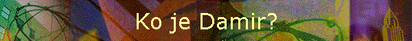 Ko je Damir?